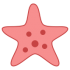 Mascotes estrela do mar