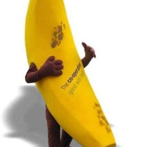 Mascotte du jour chez SPOTSOUND: Mascotte de banane jaune géante. Costume de banane . Découvrez les mascottes @spotsound_mascots #mascotte #mascottes #marketing #costume #spotsound #personalisé #streetmarketing #guerillamarketing #publicité . Lien: https://www.spotsound.fr/fr/4788-mascotte-de-banane-jaune-géante-costume-de-banane.html